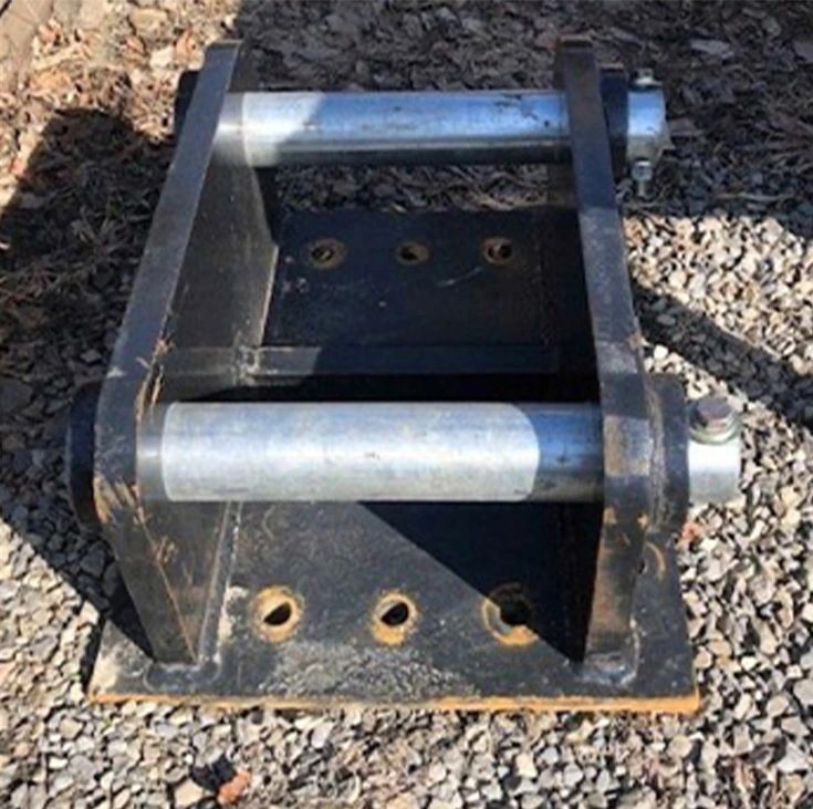 A mount on display